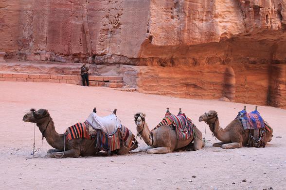 ヨルダン 029