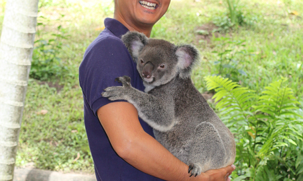 koalahiro